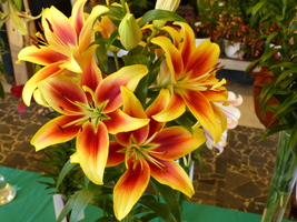 Foto: Dr. Peter Müller